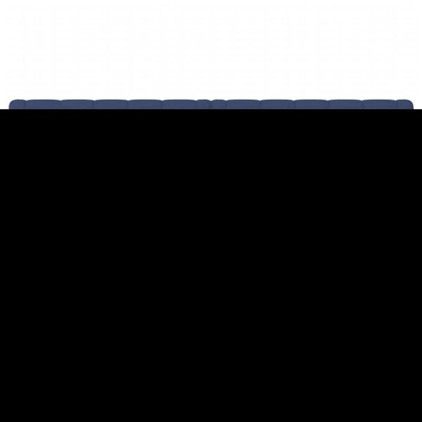 vidaXL H&ouml;fu&eth;gaflar Bl&aacute;tt 160x7x78/88 cm Efni