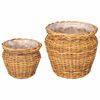vidaXL Pl&ouml;ntuk&ouml;rfu me&eth; geymslu 2 pcs Br&uacute;nn Lacak rattan