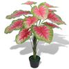 vidaXL Gerviplanta K&oacute;lfbl&oacute;m me&eth; Bl&oacute;mapotti 70 cm Gr&aelig;n og Rau&eth;