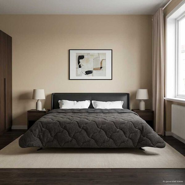 vidaXL Full &aacute;rs d&yacute;na Antras&iacute;t 200 x 220 cm Microfiber og Teddy f&oacute;&eth;ri&eth;