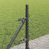 Sm&aacute;mynd af v&ouml;ru 5 af 17