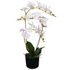 vidaXL Gerviplanta Ork&iacute;dea &iacute; Bl&oacute;mapotti 65 cm Hv&iacute;t