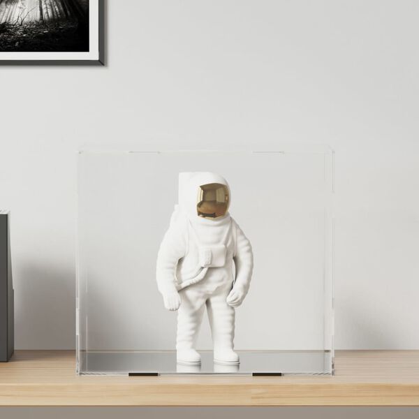 vidaXL s&yacute;ningarkassi gegns&aelig;r 40x36x35 cm akr&yacute;l