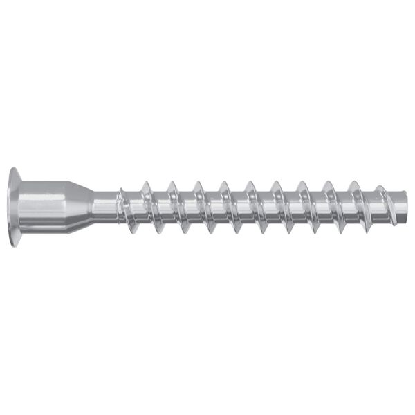 vidaXL H&uacute;sgagnaskr&uacute;&eth;ur 2 pcs Silfur &Oslash;7 x 50 mm M&aacute;lmur