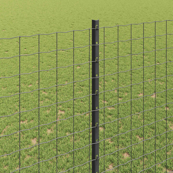 S&yacute;nir v&ouml;rumynd 4 af 8
