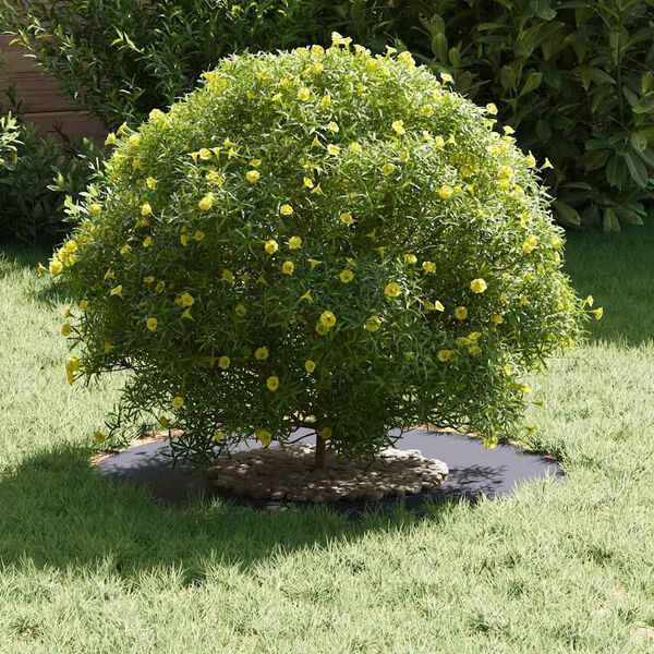 vidaXL hentar fyrir Flat tr&eacute;hringi 5 pcs Antras&iacute;t &Oslash;30 / 60 cm St&aacute;l