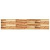 vidaXL Bor&eth;plata 160x30x4 cm R&eacute;tthyrnd Gegnheil Akas&iacute;a