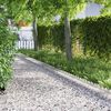 Sm&aacute;mynd af v&ouml;ru 2 af 12