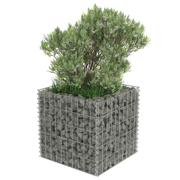 vidaXL Gabion Grj&oacute;tkassi Upph&aelig;kka&eth; Bl&oacute;maker S&iacute;nkh&uacute;&eth;a&eth; st&aacute;l 50x50x50 cm