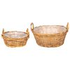 vidaXL Pl&ouml;ntuk&ouml;rfu me&eth; geymslu 2 pcs Br&uacute;nn Lacak rattan