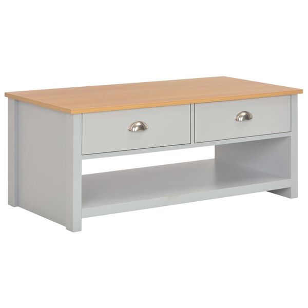 283738 vidaXL Coffee Table Grey 100x50x42 cm