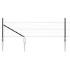 Sm&aacute;mynd af v&ouml;ru 6 af 11