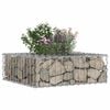vidaXL Gabion h&aelig;kka&eth; r&uacute;m Silfur 60 x 60 x 20 cm Galvaniserad st&aacute;l
