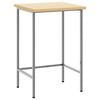 vidaXL Hornbor&eth; Gr&aacute;r 55 x 55 x 85 cm St&aacute;l og hanna&eth;ur vi&eth;ur