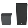 Sm&aacute;mynd af v&ouml;ru 3 af 7