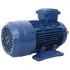 vidaXL 3-fasa Rafm&oacute;tor &Aacute;l 1,5kW/2HP 2-p&oacute;la 2840 Sn&uacute;n./m&iacute;n