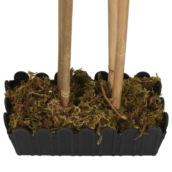 S&yacute;nir v&ouml;rumynd 4 af 5