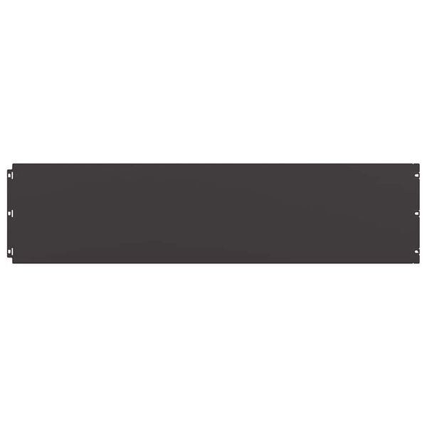 vidaXL t&uacute;nkantar 10 stk Svartur 25x103 cm Kaldvalsa&eth; st&aacute;l