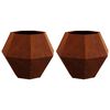 vidaXL Pl&ouml;ntuker 2 pcs Rusty 75 x 75 x 60 cm Ve&eth;ra&eth; st&aacute;l
