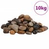 vidaXL Sl&iacute;pa&eth;ir Steinar 10 kg &Yacute;msir Litir 2-5 cm
