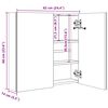 325542 vidaXL LED Bathroom Mirror Cabinet 62x14x60 cm