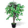Gerviplanta F&iacute;kjutr&eacute; me&eth; Bl&oacute;mapotti 90 cm