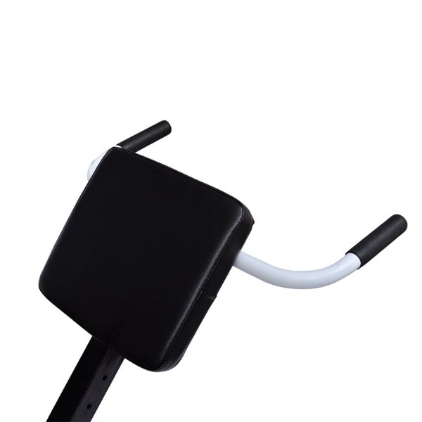 vidaXL Æfingabekkur fyrir Bak