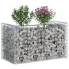 vidaXL Gabion h&aelig;kka&eth; r&uacute;m Silfur 50 x 100 x 60 cm Galvaniserad st&aacute;l