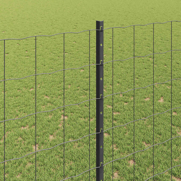 S&yacute;nir v&ouml;rumynd 4 af 14