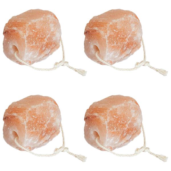 vidaXL Salt Lick Steinar Bleikur Steinsalt