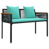 Black_and_turquoise