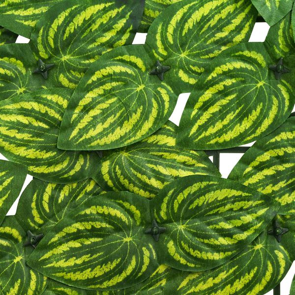 S&yacute;nir v&ouml;rumynd 4 af 6