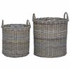 vidaXL Pl&ouml;ntuk&ouml;rfu me&eth; geymslu 2 pcs Gr&aacute;r Lacak Rattan