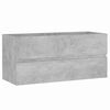 vidaXL Vaskask&aacute;pur Steypugr&aacute;r 100x38,5x45 cm Samsettur vi&eth;ur
