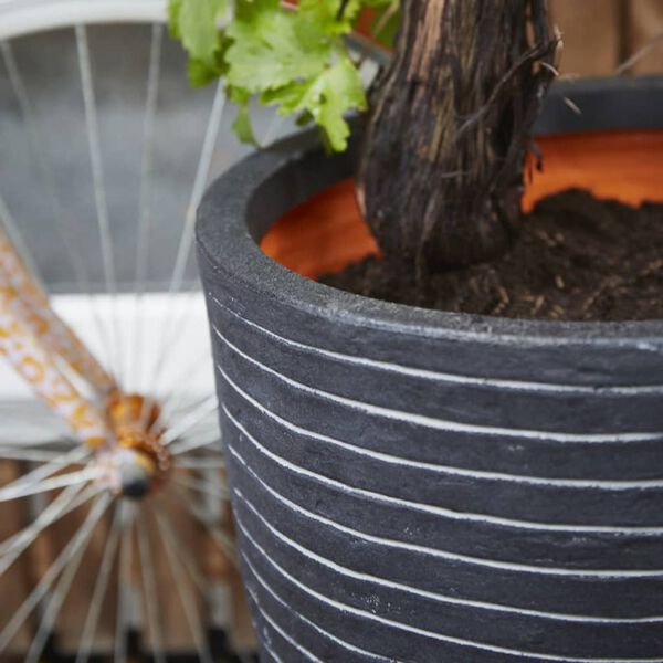 Capi Vasi &bdquo;Nature Row&ldquo; F&aacute;ga&eth;ur L&aacute;gur 36x47 cm Reykgr&aacute;r KRWZ782