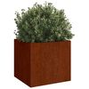 vidaXL gr&oacute;&eth;ursetningar 2 stk 49x47x46 cm Corten St&aacute;l