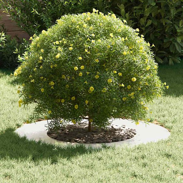 vidaXL hentar fyrir Flat tr&eacute;hringi 5 pcs Silfur &Oslash;40 / 70 cm