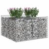 vidaXL Gabion h&aelig;kka&eth; r&uacute;m Silfur 100 x 100 x 60 cm Galvaniserad st&aacute;l
