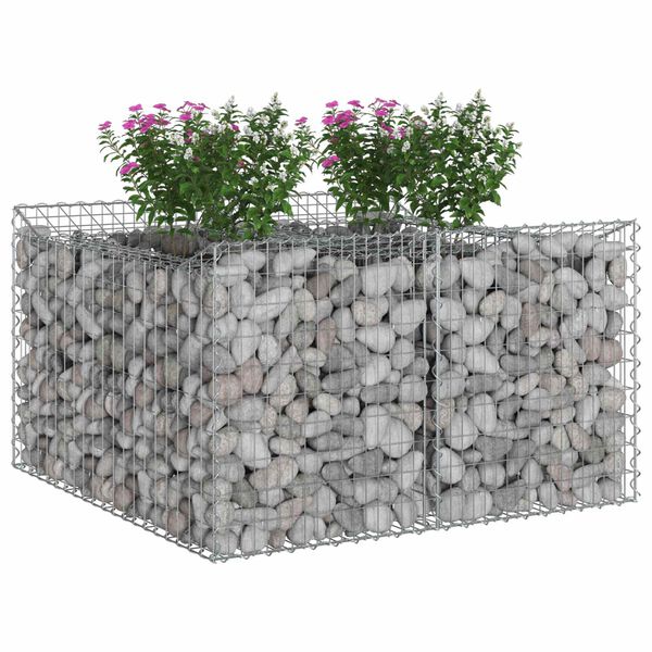 vidaXL Gabion h&aelig;kka&eth; r&uacute;m Silfur 100 x 100 x 60 cm Galvaniserad st&aacute;l