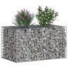 vidaXL Gabion h&aelig;kka&eth; r&uacute;m Silfur 100 x 60 x 55 cm Galvaniserad st&aacute;l