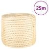 vidaXL Reipi 100% S&iacute;salhampur 14 mm 25 m