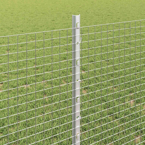 S&yacute;nir v&ouml;rumynd 4 af 13