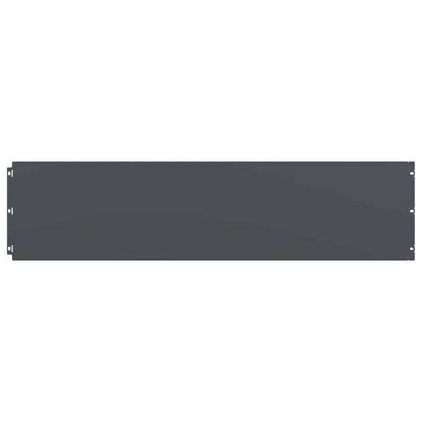 vidaXL t&uacute;nkantar 10 stk Antras&iacute;t 25x103 cm Kaldvalsa&eth; st&aacute;l