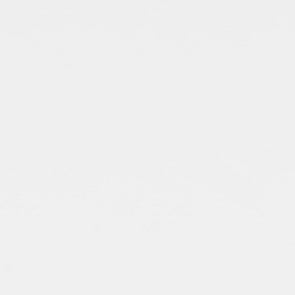 vidaXL Svalaskilrúm Hvítt 120x300 cm Oxfordefni