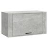 vidaXL Vegghengdur Sk&oacute;sk&aacute;pur Gr&aacute;r 70x35x38 cm Samsettur Vi&eth;ur