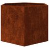 vidaXL Gr&oacute;&eth;ursetningu Rusty 60x60x45 cm Corten St&aacute;l