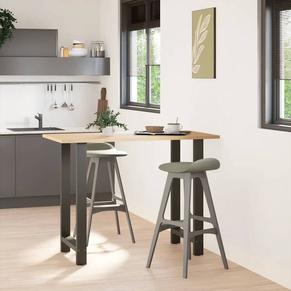 vidaXL barbor&eth;sf&aelig;tur antras&iacute;t 2 stk 60x(100-101) cm st&aacute;l