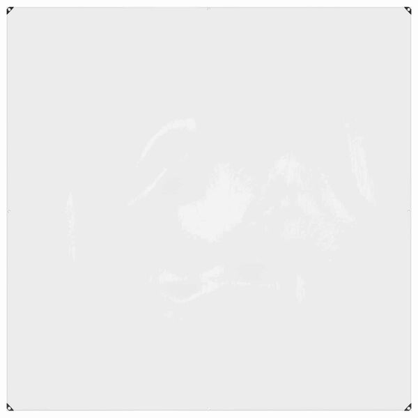 vidaXL Tjald me&eth; augu Gegns&aelig;tt 2 x 2 m p&oacute;l&yacute;et&yacute;len