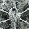 Sm&aacute;mynd af v&ouml;ru 13 af 16