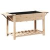 vidaXL Gar&eth;pl&ouml;ntukassi me&eth; hillu Drapplita&eth;ur 155 x 59 x 76,5 cm